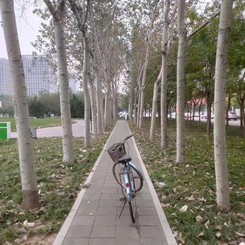 卜算子 . 自侃