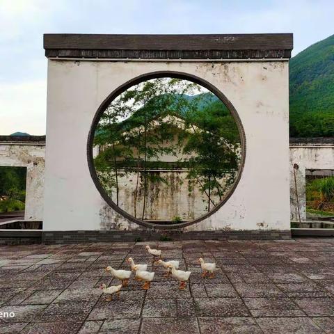 从加入协会组织说开去