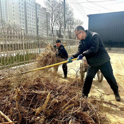 绿意盎然·绽放奉献