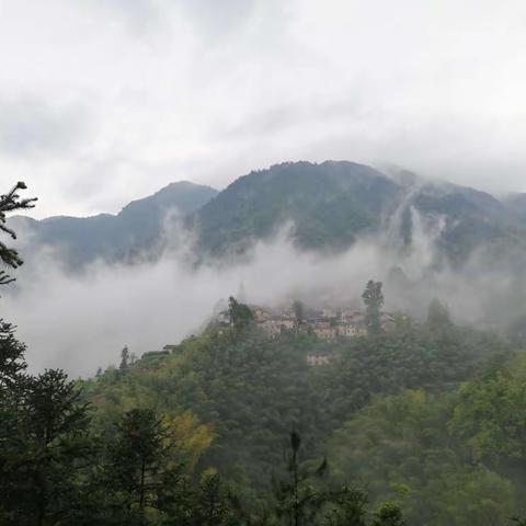 雨游松阳……