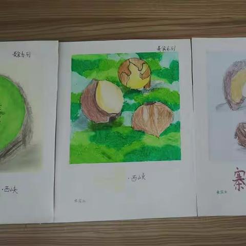 五（11）班项目化学习成果