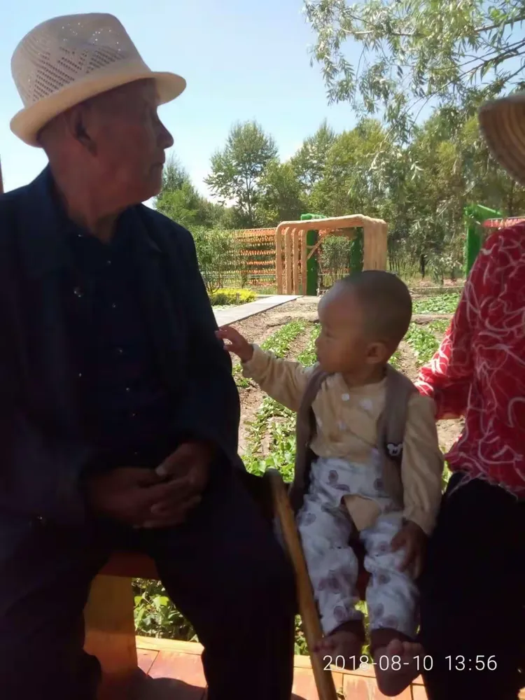 九十岁的祖爷爷跟奶奶弟弟一起欣赏花的海洋！