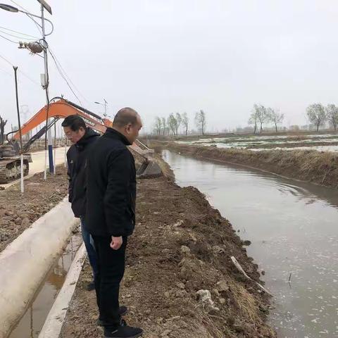 邯郸市稻蟹种养前期准备及蟹苗投放工作扎实开展