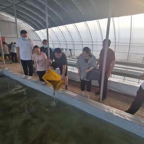 我站在广平开展鱼菜共生泥鳅苗种投放