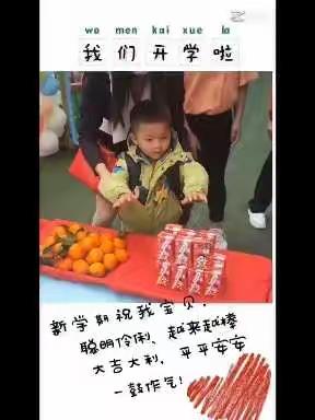 嘉禾联升幼儿园中B班第一周回园快乐时光