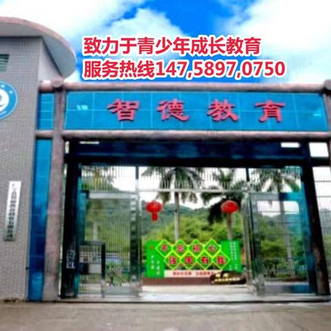 智德教育招生简章