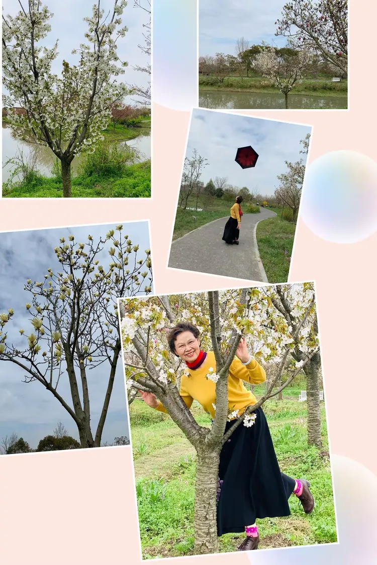 春天的故事(2021年)