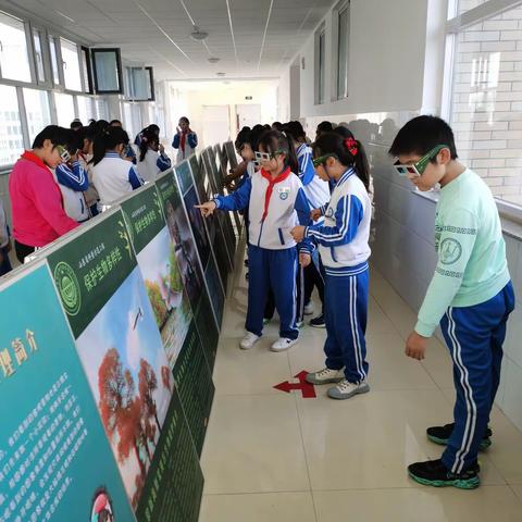 东营区实验小学五年级二班美篇