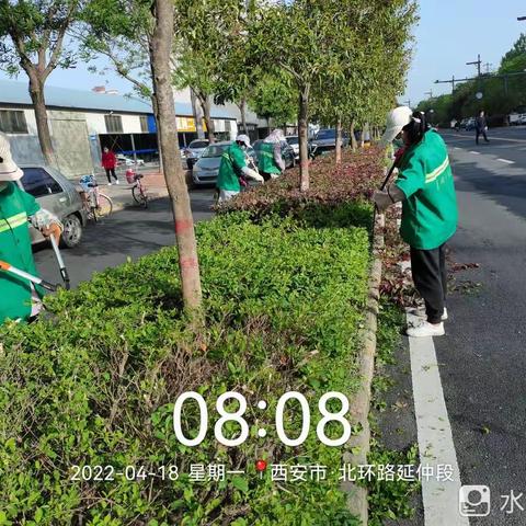 金沙田蓝田县四叶花环境服务有限公司4月18日一19日工作简报