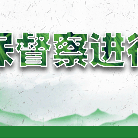 县委县政府环保督察组对县域内河道、山体采沙、存沙等情况进行督察