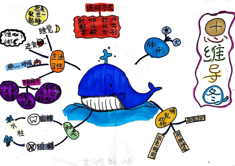 思维导图初体验