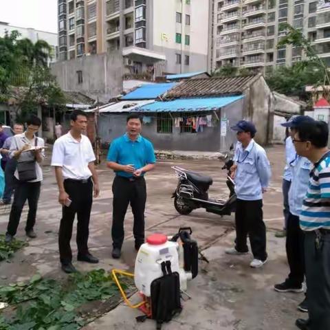 快速部署，迅速落实 台风“莎莉嘉”后龙华区创卫组全力抓好灾后消杀工作