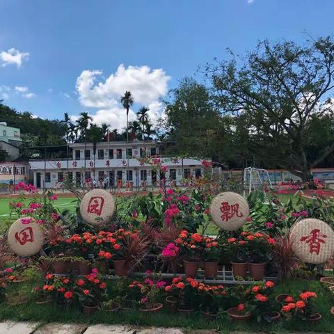 踏一路芬芳，寻教育本真——2019年海南省西部九市县乡村小学教师省级师范性培训