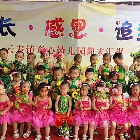 横州市云表镇童心幼儿园2022年春季期小一班期末汇报