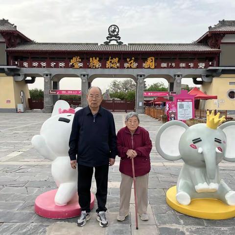 游古柏渡丰乐樱花园