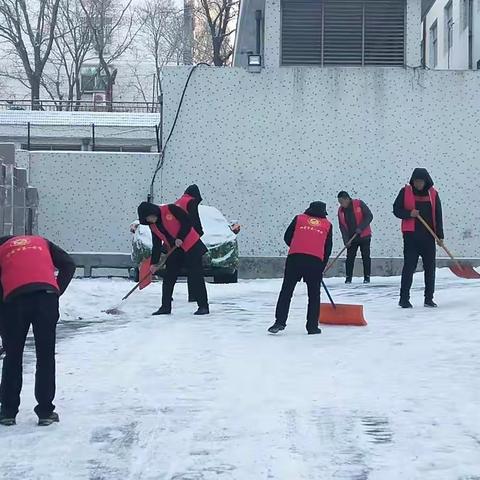 清雪除冰保安全 传递党员正能量
