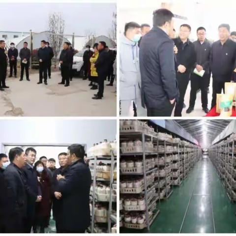 【群雁高飞头雁领】小留镇村级带头人队伍建设