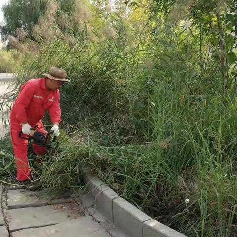 蒹葭苍苍修理忙，特车面貌一新再启航