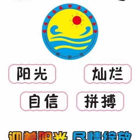 用心浇灌，花开有声——202班期末总结