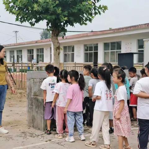 砖埠镇中心小学石沟联校开展拔草实践活动