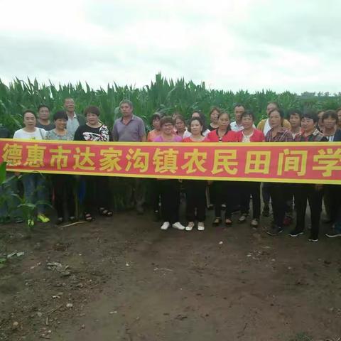 办好农民田间学校，助力德惠农业发展