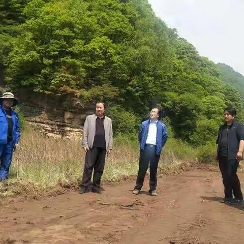局领导督查平凉市国有麻庵林场各项工作及林区道路建设