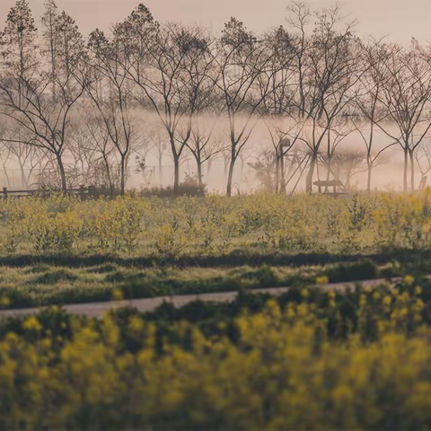 九月走园-美丽东南