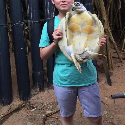 小身材汇聚大能量—记黄浦区市场监督管理局执法大队文员翟静同志