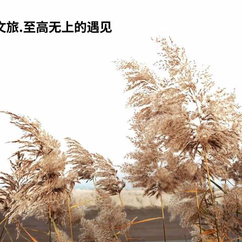 至高无上的遇见~天津长芦汉沽盐场采风