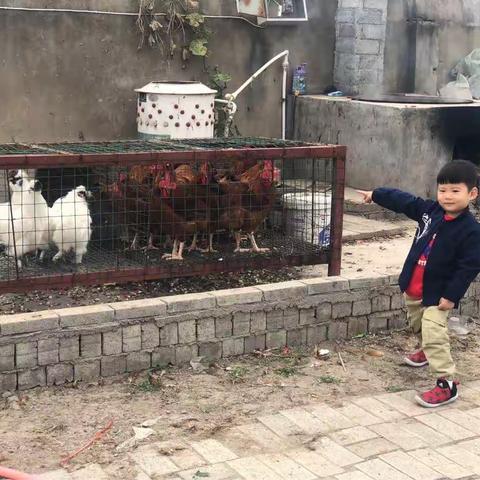 虽然已经来过几次了但依然快乐的户外参访活动.....