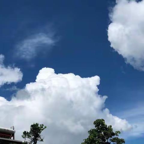 知否，知否，花开时节，研究依旧