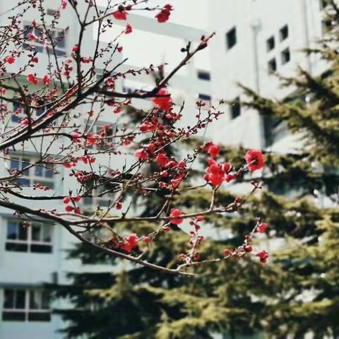 四月清和雨乍晴，三中教研正当时。——记化学组评课活动。