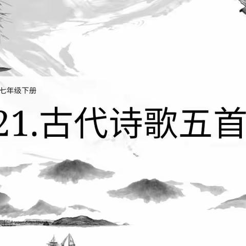 实习展风采 点评促成长——新课教学纪实