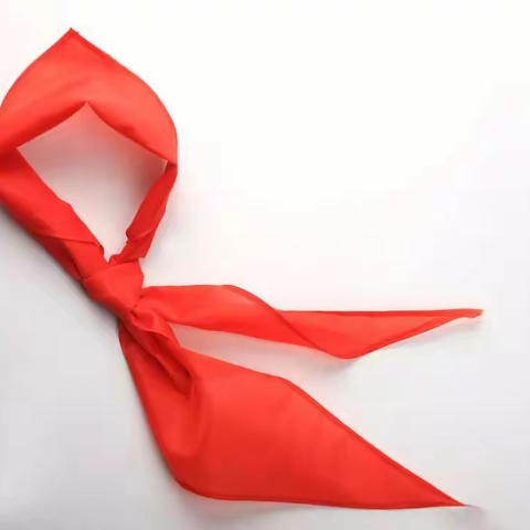 【喜迎少代会】温故而知新：少先队基础知识