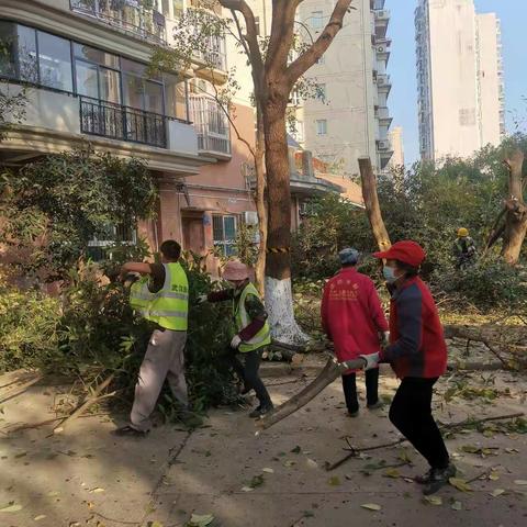 我为群众办实事：小区终于阳光明媚了