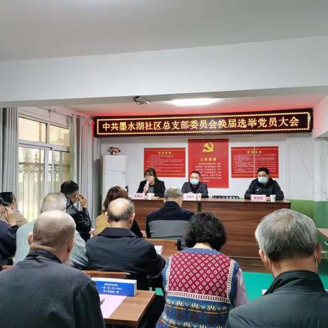 墨水湖社区总支部委员会换届选举党员大会圆满成功