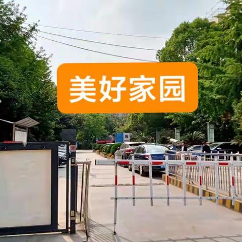 卫生死角大扫除工作汇报