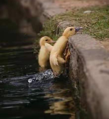 努力