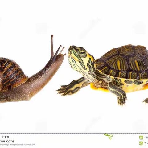 万思乐学V-learn小西妈双语工程1910期116号Thomas打卡Day13（副本）for Toby