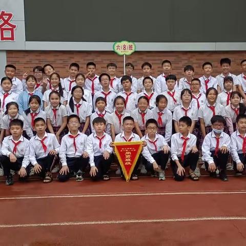 家校共育 携手奋进——六（8）班家长培训会纪实