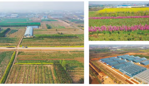 曲沟镇打造区域果蔬现代农业产业园，助力乡村产业振兴