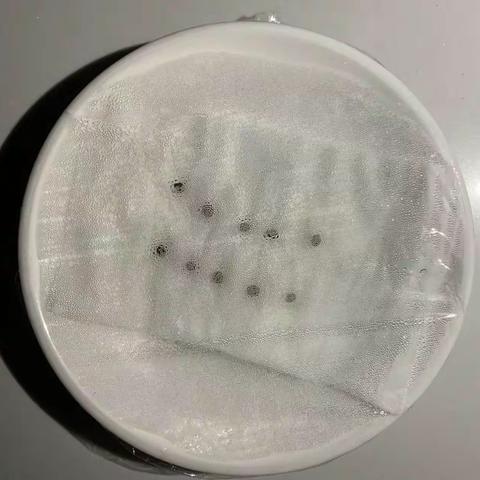 凤仙花——宁波市实验学校402班吴怡璇