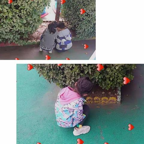 【启航班】🎈🎈主题活动《蚂蚁王国》
