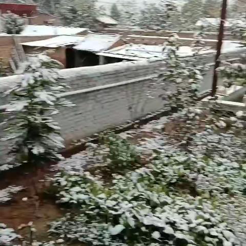 【癸卯冬雪】诗图庆贺瑞雪 秦晥兄弟言欢