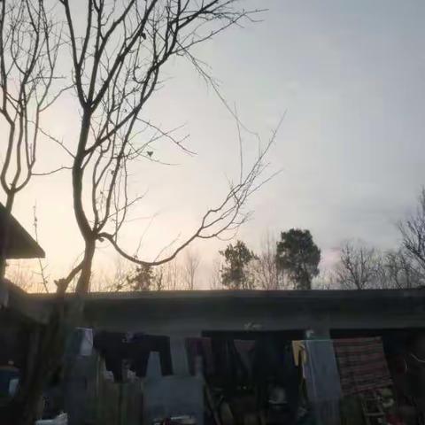土气——走不出的江湖  不用蜕的本色