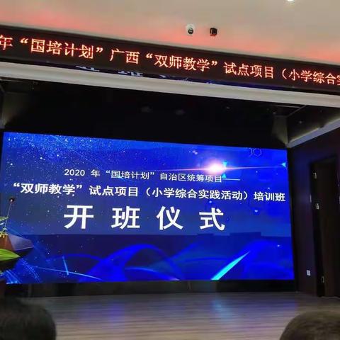 2020年“国培计划”自治区统筹项目——“双师教学”试点培训项目（小学综合实践活动）