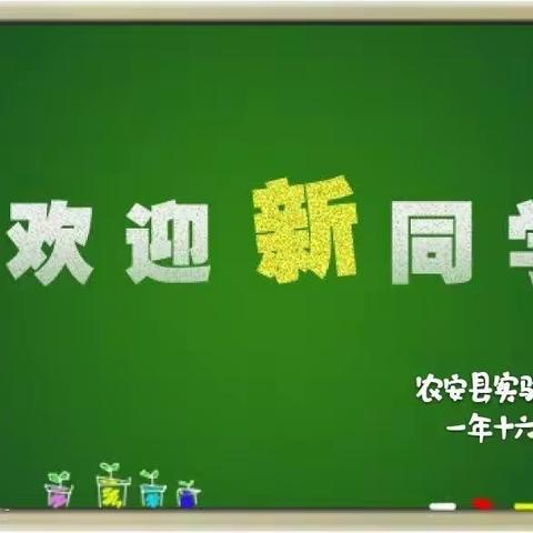 拥抱阳光，茁壮成长——农安县实验小学一年十六班“石榴娃”成长日志之开学篇