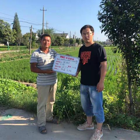方巷镇政府关心兴湾村农户水稻种植情况