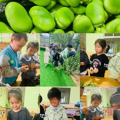 朵朵班快乐的一周