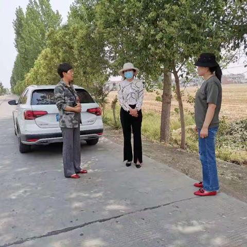 李寨镇：清理清运秸秆 抢播抢种秋粮 多措并举做好三夏禁烧工作